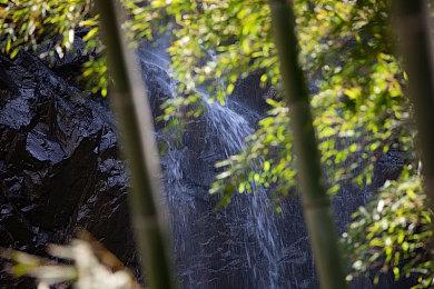 《潜行者2》预载现已在XSX＆S上线 空间超147GB